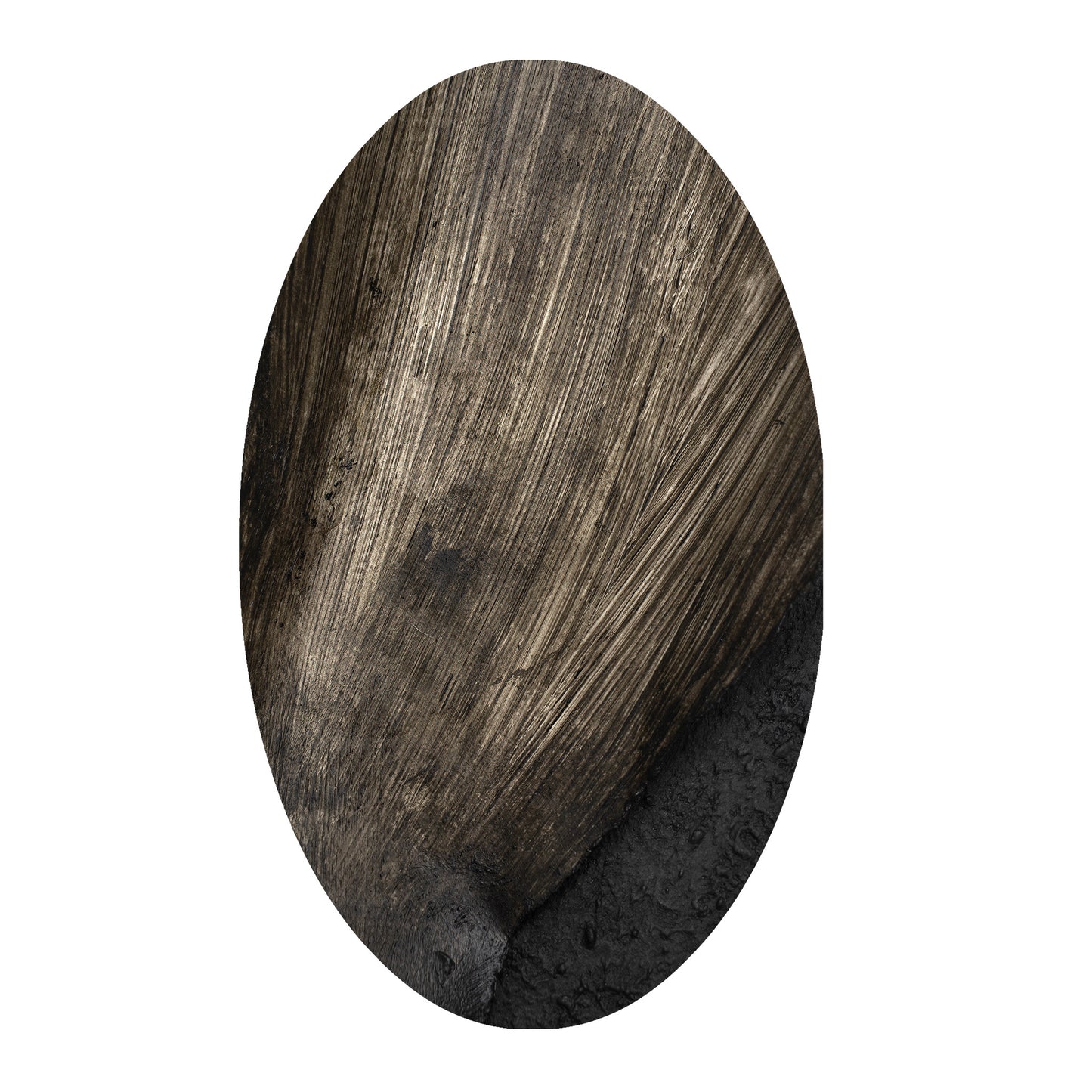 WHISPER OF THE EARTH